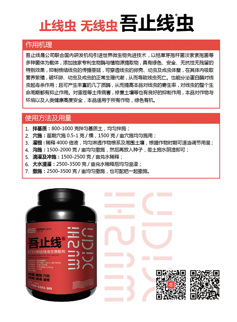 吾止线-单页-03.jpg